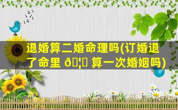 退婚算二婚命理吗(订婚退了命里 🦊 算一次婚姻吗)
